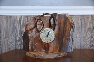 ONE OF A KIND VINTAGE ELECTRIC CLOCK MOUNTED IN PETRIFIED WOOD 3