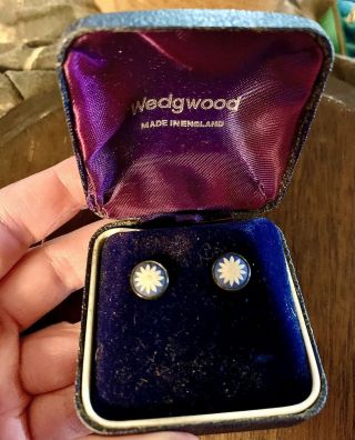 Vintage Wedgewood Jasperware Earrings Blue With White Daisy