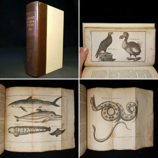 1792 Buffon’s Natural History Illustrated 66 Copper Plates Birds Fish Animals