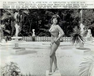 1961 Vintage Press Photo Pinup Jayne Mansfield Cheesecake Poses In Bathing Suit