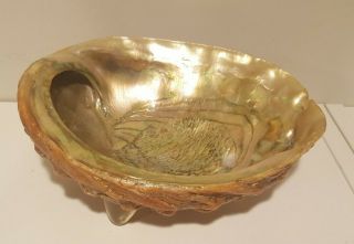 Abalone Shell With Lucite Feet Footed Trinket Candy Bowl 8” Vintage