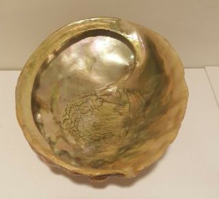 Abalone Shell with Lucite Feet Footed Trinket Candy Bowl 8” Vintage 2
