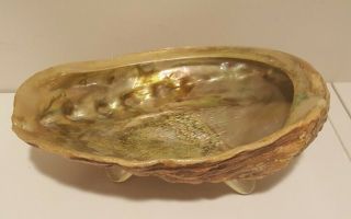 Abalone Shell with Lucite Feet Footed Trinket Candy Bowl 8” Vintage 3