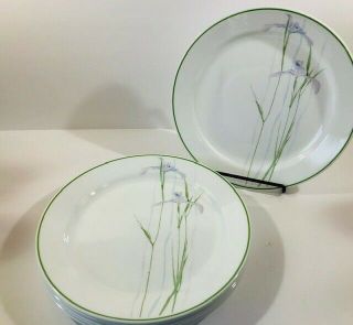 Vintage Set Of 8 Corelle Shadow Iris Dinner Plates 10 1/4 "