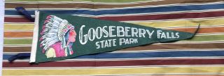Vintage Gooseberry Falls State Park Pennant - Minnesota North Shore