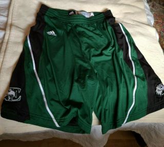 Eastern Michigan University Basketball Game Worn Shorts Adidas Size L Men 