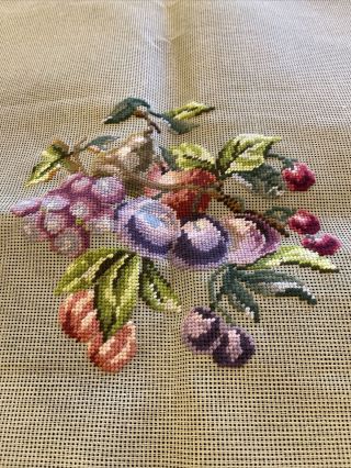 Vintage Paragon Preworked Needlepoint Canvas Fruit Approx 26 By 25 In