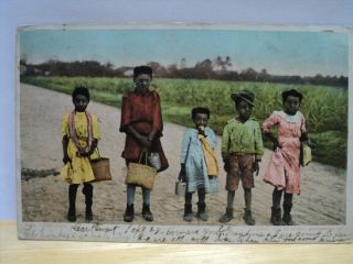 Vintage Antique Black Americana/jim Crow Post Card " Just Kids.  " 1905