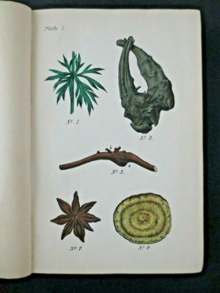 1878 Plant Materia Medica 24 Colour Plates Drugs Cannabis Opium Manuscript Notes