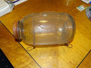 Rockcreek Montana Bait Company Vintage Glass Trap Minnow Catcher