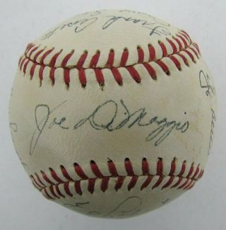 1951 York Yankees Team Signed Mickey Mantle Rookie Baseball Psa/dna 142837