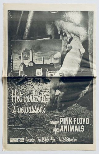 Pink Floyd 1977 Vintage Dutch Poster Advert Animals