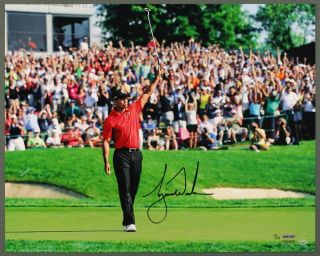 Tiger Woods " Victory Celebration " 16x20 Signed Auto Photo 4/73 Sp Uda