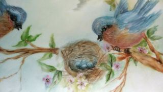 Vtg Hand Painted Porcelain Tray Dish Blue Birds And Nest Signed J M