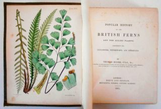 1851 Moore History Of British Ferns Plants Botany 18 Colour Plates