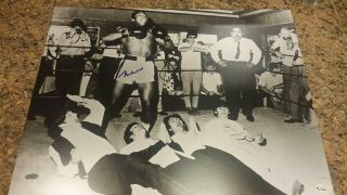 Muhammad Ali Signed 16x20 Photo With " The Beatles " Steiner