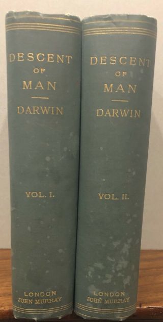 Darwin,  Charles 1891 Descent Of Man & Selection In Relation To Sex,  2nd Edition