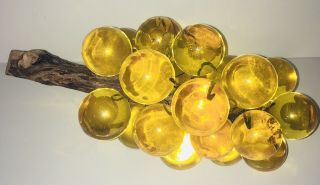 Vintage Grape Cluster Mid Century Amber Lucite Acrylic Driftwood Weights 3.  8 Lbs