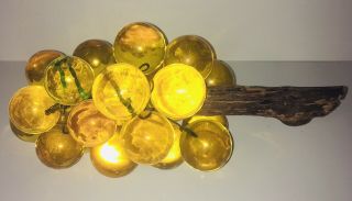 Vintage Grape Cluster Mid Century Amber Lucite Acrylic Driftwood Weights 3.  8 lbs 3