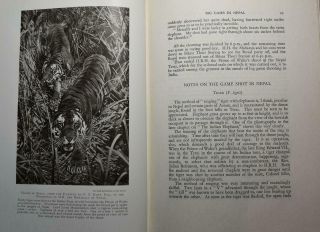 THE PRINCE OF WALES ' S SPORT IN INDIA 1925 Big Game Hunting Tiger Burma Nepal 3