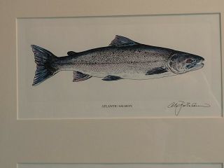 Alan James Robinson Atlantic Salmon Lithograph 2