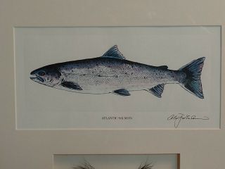 Alan James Robinson Atlantic Salmon Lithograph 3
