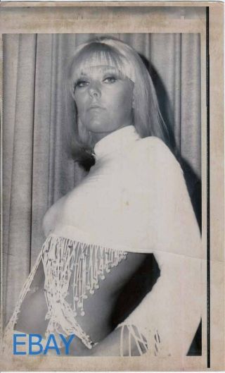 Kim Novak Busty Sexy 1968 Vintage Photo