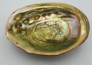 Abalone Shell w/Lucite Feet Footed Trinket Candy Bowl Large 8 