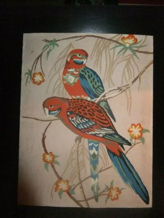 Vintage 12 " X 16” Paint By Number Birds Scene Parakeets Cockatils