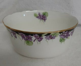 Vintage Royal Doulton Violets H3747 Sugar Bowl Fine Bone China 1920 
