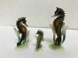 Vintage - Miniature Bone China Sea Horse Family