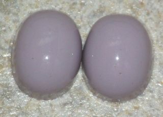 2 Lavender Toilet Bolt Caps Ceramic Vintage 1 1/2 " X 1 " X 3/4 "