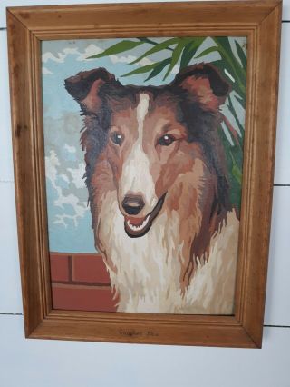 Vintage Collie Dog Paint By Number Framed Art 16 " X12 "