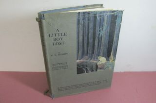A Little Boy Lost By W.  H.  Hudson,  1921,  Illustrated,  Rare Dust Jacket
