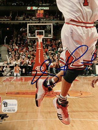 Derrick Rose Chicago Bulls Signed 8x10 Photo Autographed Derek Auto 2