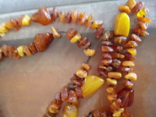 Vintage Natural Baltic Amber Bead Necklace Extra Long 56 "