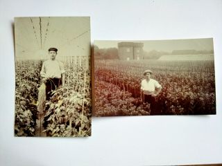 2 Ponders End,  Middlesex Vintage B&w Postcards 1908 Market Gardens Agriculture