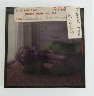 Bunny Yeager Estate ' 60s Color Transparency Sassy Pin - up Marilyn Nordman Beauty 2