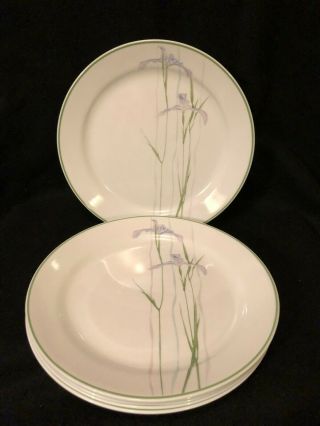 Vintage Set Of 6 Corelle Shadow Iris Coupe 10 " Dinner Plates Made In Usa