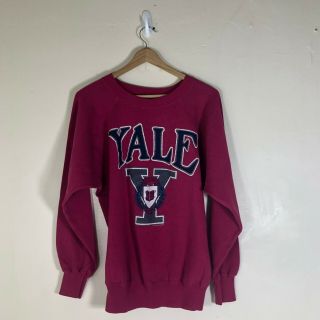 Vintage 90s Yale University Bulldogs Ultra Sweats Athletic Sweatshirt,  Size Large
