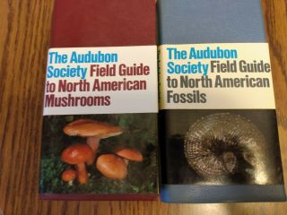Vintage Audubon Society Field Guides 2 Books North American Fossils Mushrooms