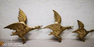 Vintage Set Of Brass Ducks Wall Hangings Hunters Man Cave Shiny India