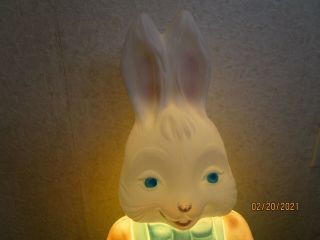Vintage 1994 Carolina Enterprises Lighted Boy Easter Bunny Blowmold 2