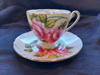 Vintage Shelley “rambler Rose " Cup And Saucer Set 13671 Made England