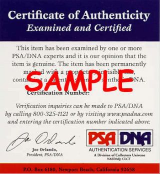 Stan Musial PSA DNA Cert Hand Signed 8x10 Photo Autograph 3
