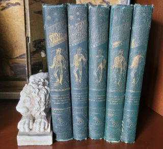 The Complete Of Charles Dickens Unabridged Vol 2 - 6 Collier 1880 