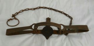 Vintage 3 S.  Newhouse Animal Trap