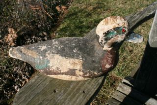 Vintage Animal Trap Balsa Drake Widgeon duck decoy c1949 2