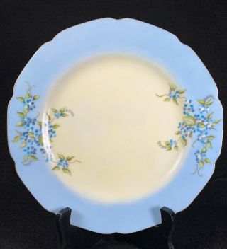 Vintage Hand Painted & Signed Forget - Me - Not Blue Flowers Cabinet Plate Gold Trim