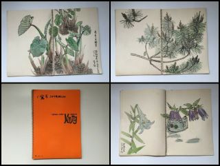 1972s Japanese Artist Sketch Book Vintage Hand Painted Plant Flower H099